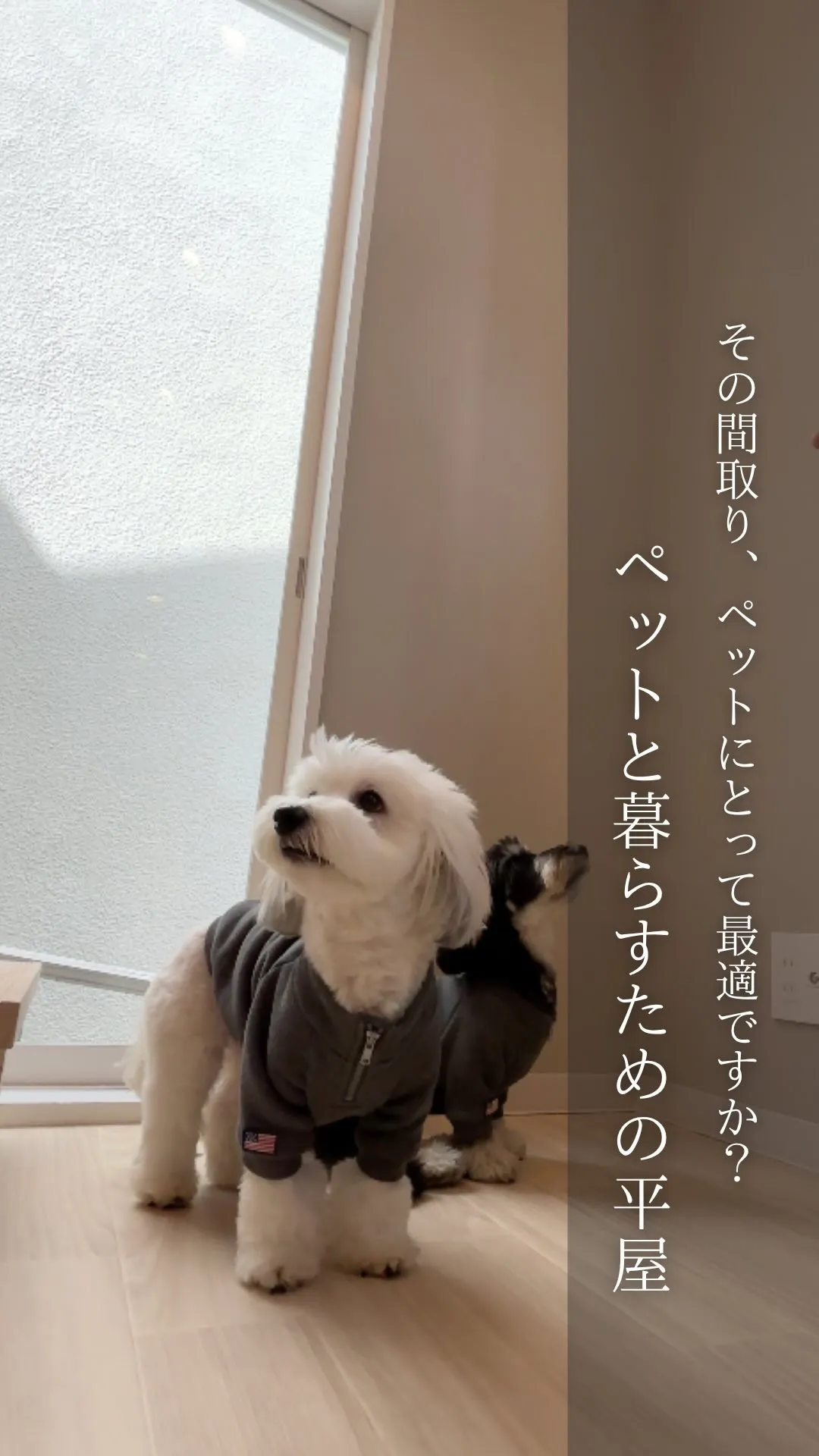 〜ペットと暮らすための平屋〜　in 神戸市東灘区