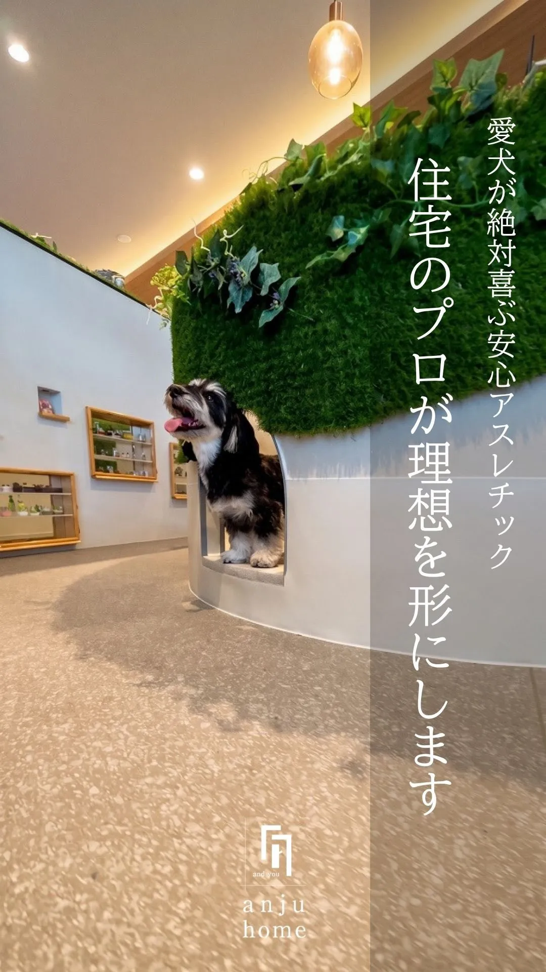 犬が主役の、ちょっと特別な空間。